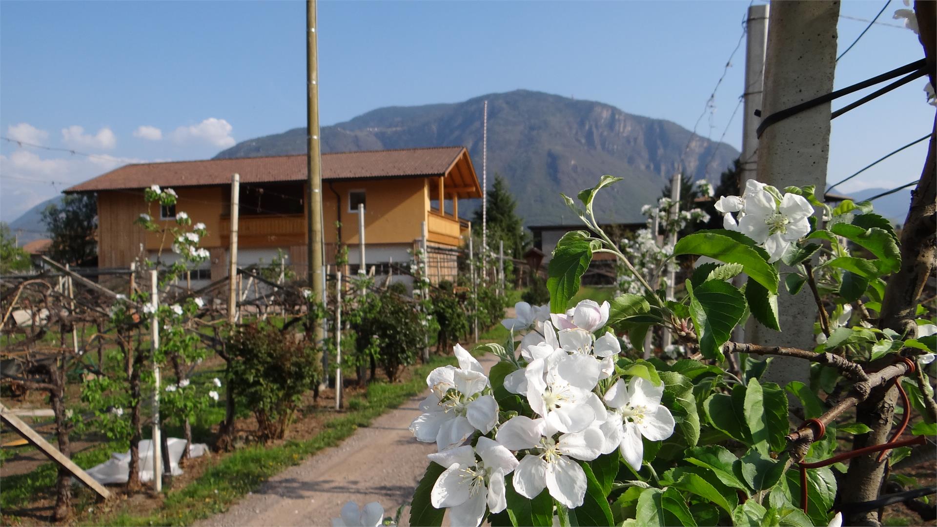 Urbanhof im Prantenbergergut Bolzano/Bozen 3 suedtirol.info