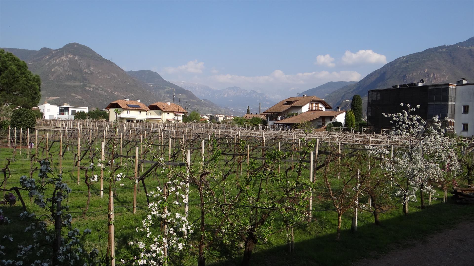 Urbanhof im Prantenbergergut Bolzano/Bozen 8 suedtirol.info