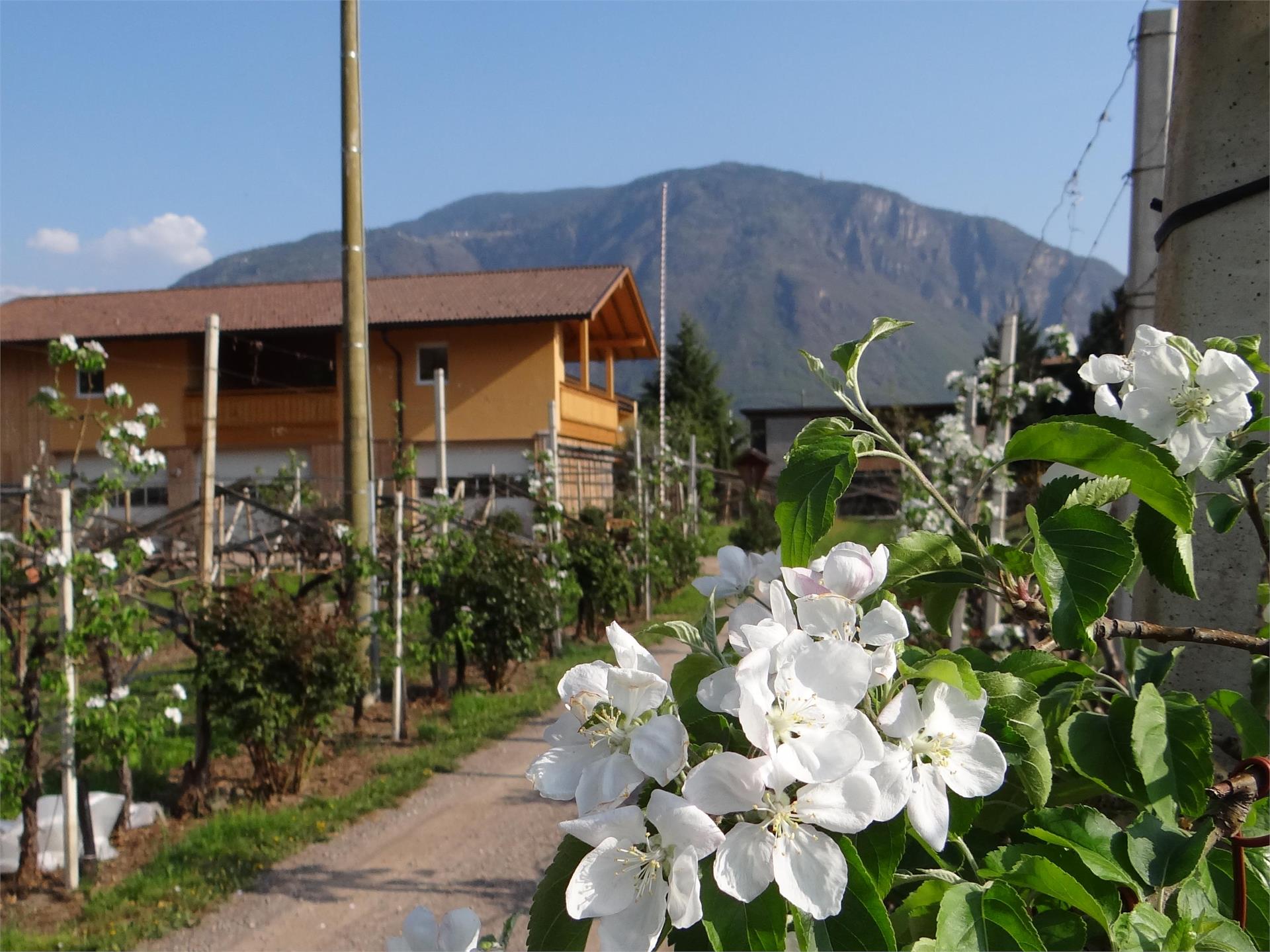 Urbanhof im Prantenbergergut Bolzano/Bozen 1 suedtirol.info