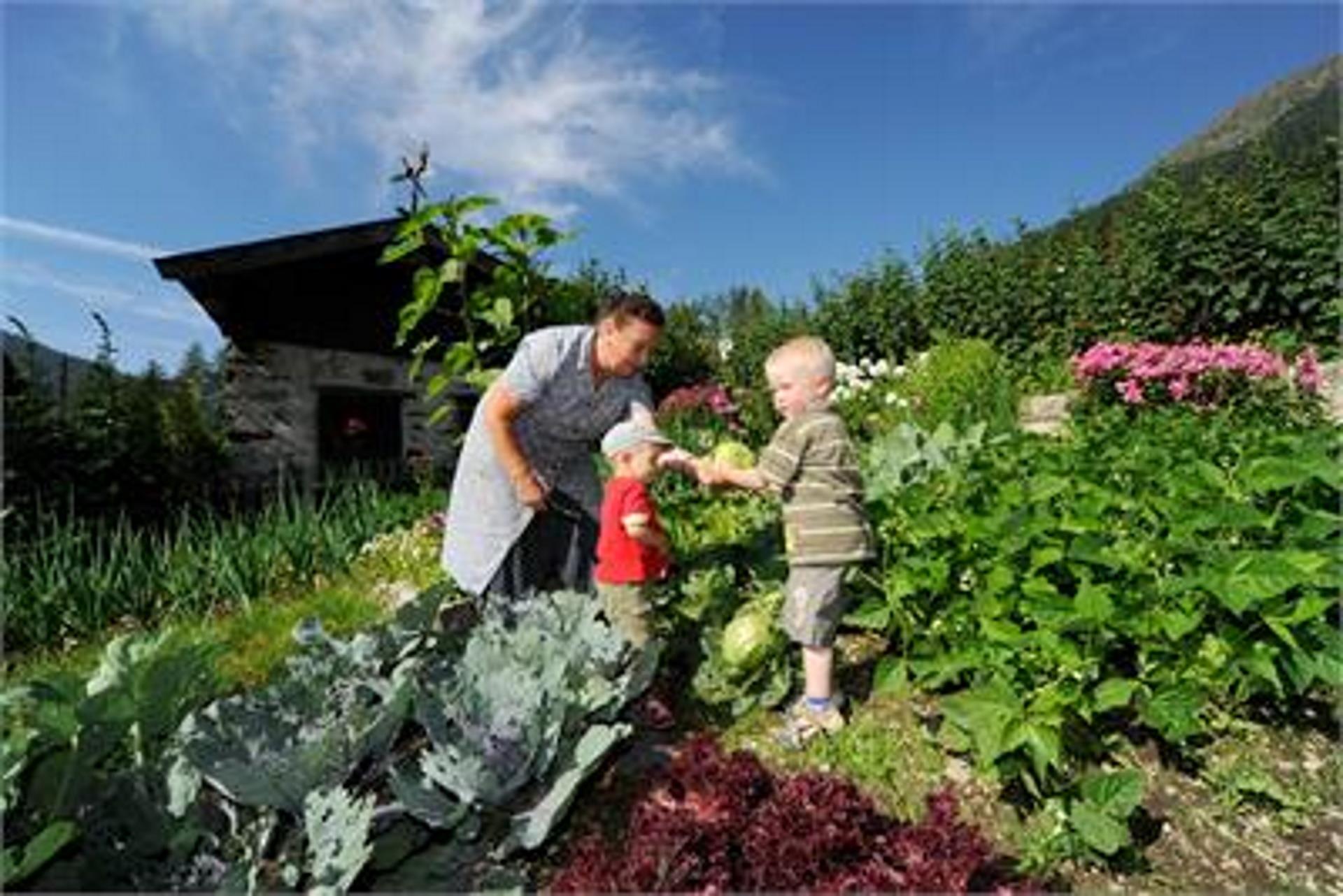 Urlaub auf dem Bauernhof Maurerhof Sarntal 7 suedtirol.info