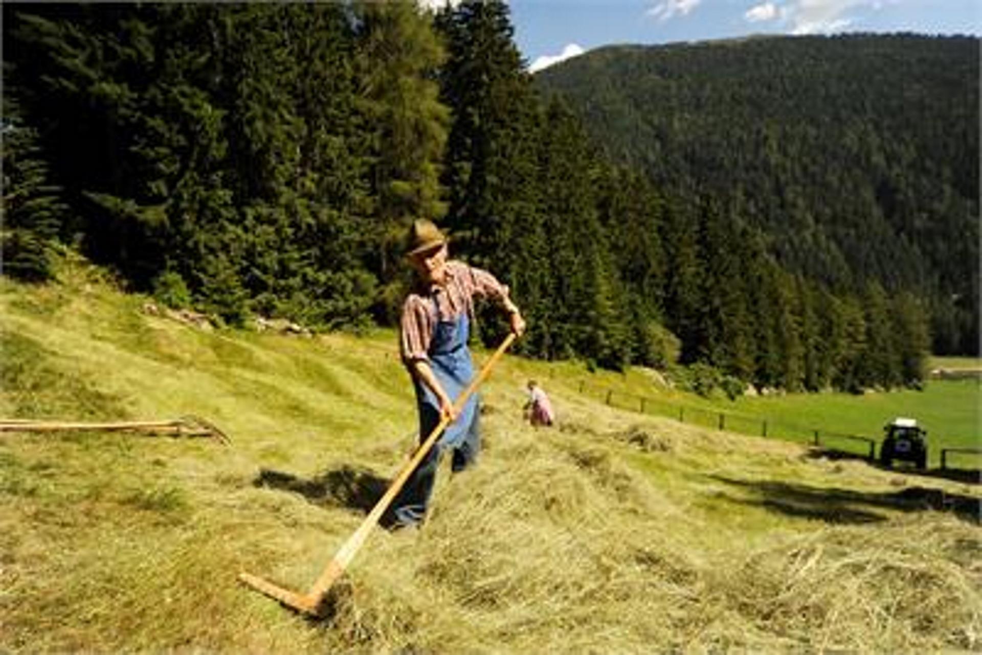 Urlaub auf dem Bauernhof Maurerhof Sarntal 4 suedtirol.info