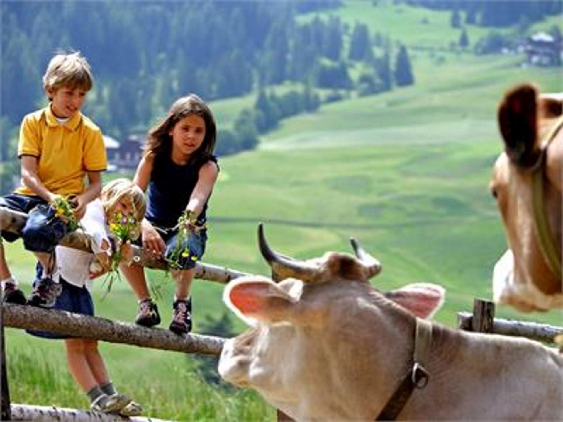 Urlaub auf dem Bauernhof Wieserhof Sarntal 13 suedtirol.info