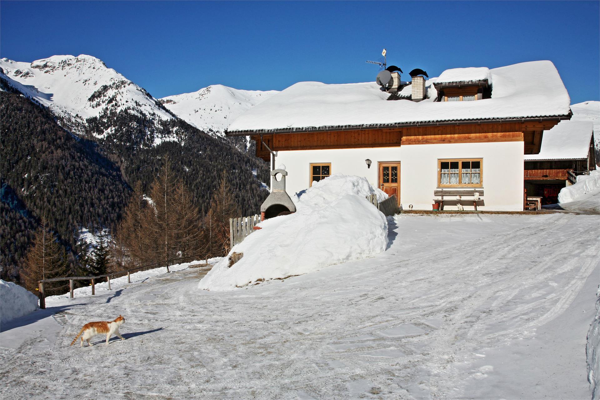 Urlaub auf dem Bauernhof Wieserhof Sarntal 17 suedtirol.info