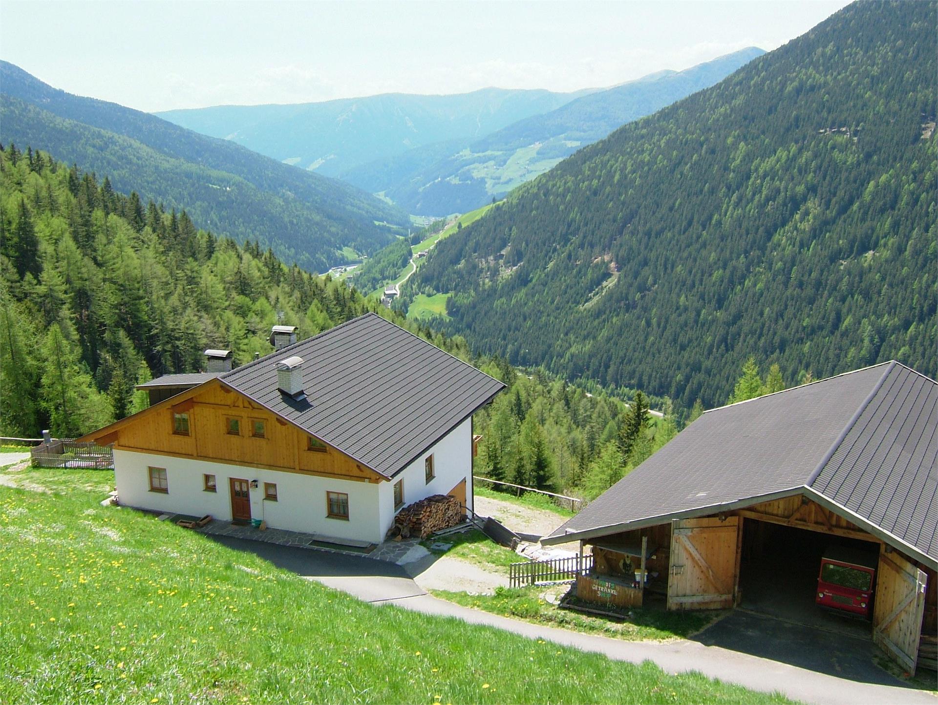 Urlaub auf dem Bauernhof Wieserhof Sarntal 3 suedtirol.info