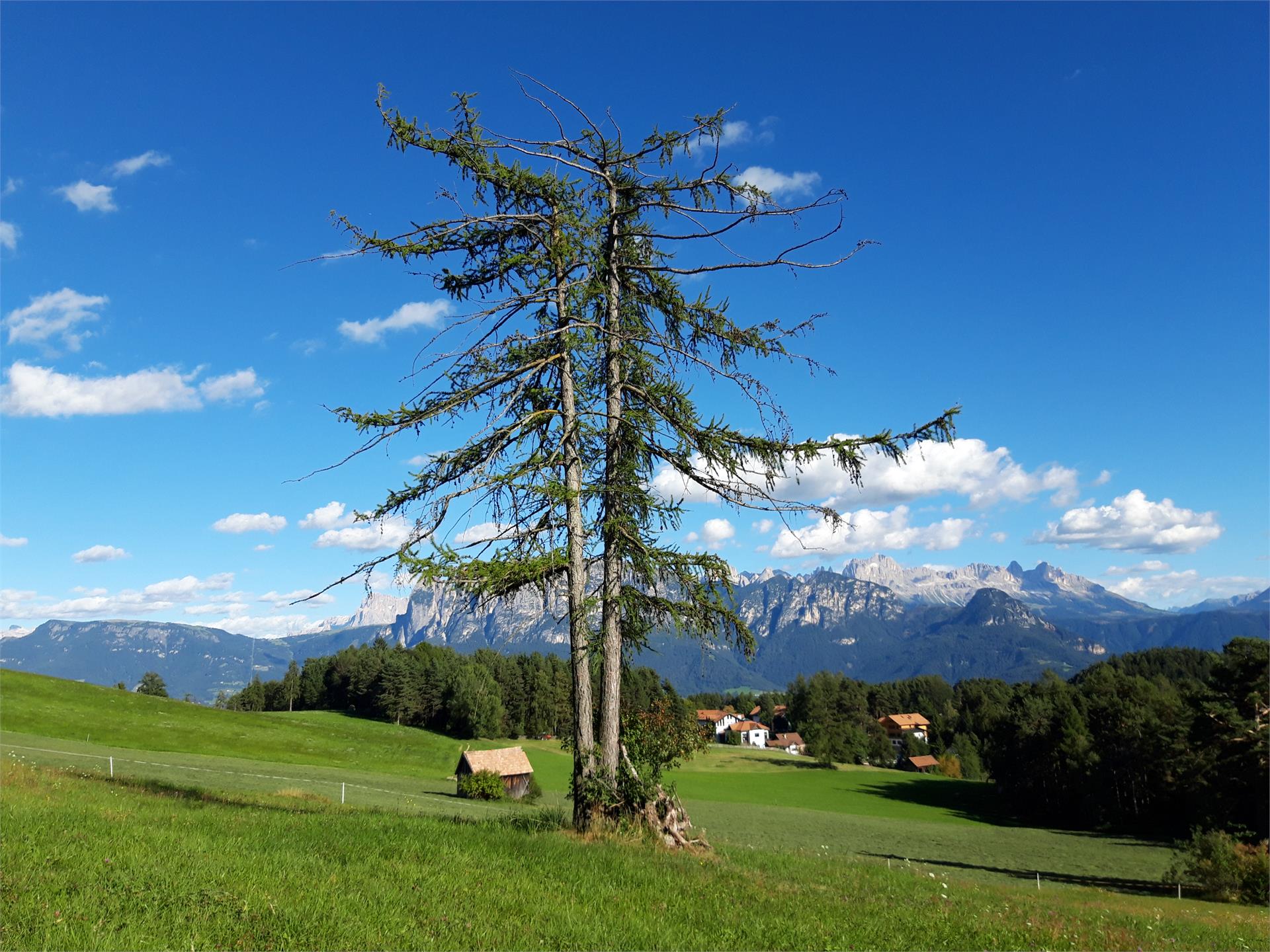 Untertrotnerhof Ritten 10 suedtirol.info