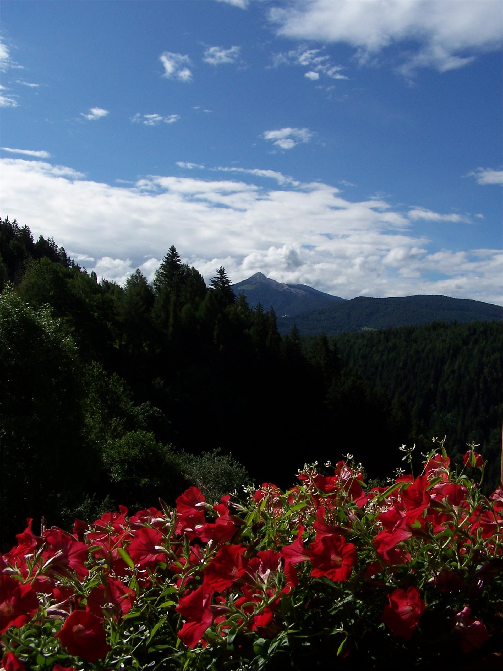 U.a.B. Spörlhof Deutschnofen 10 suedtirol.info