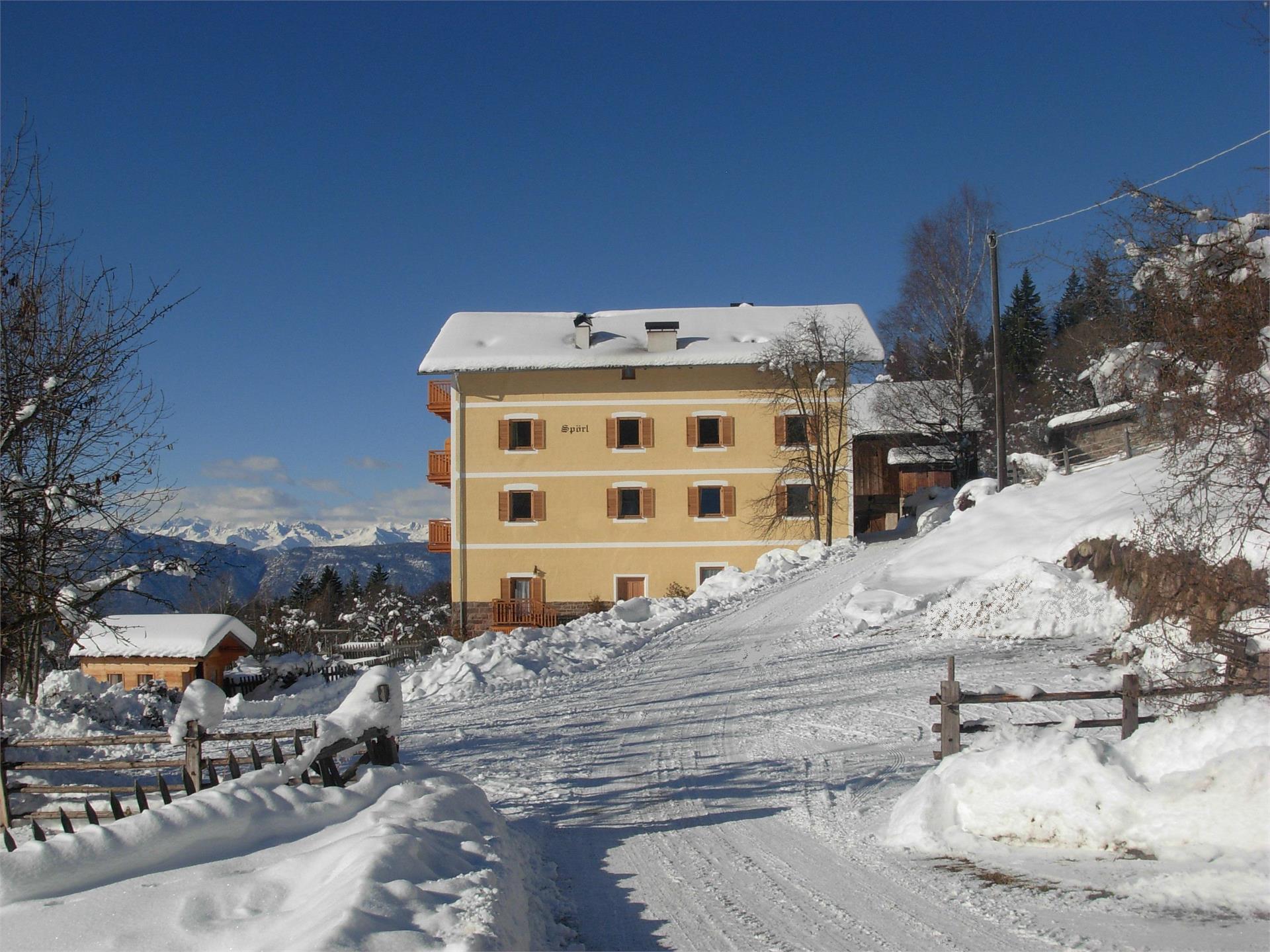 U.a.B. Spörlhof Deutschnofen 2 suedtirol.info