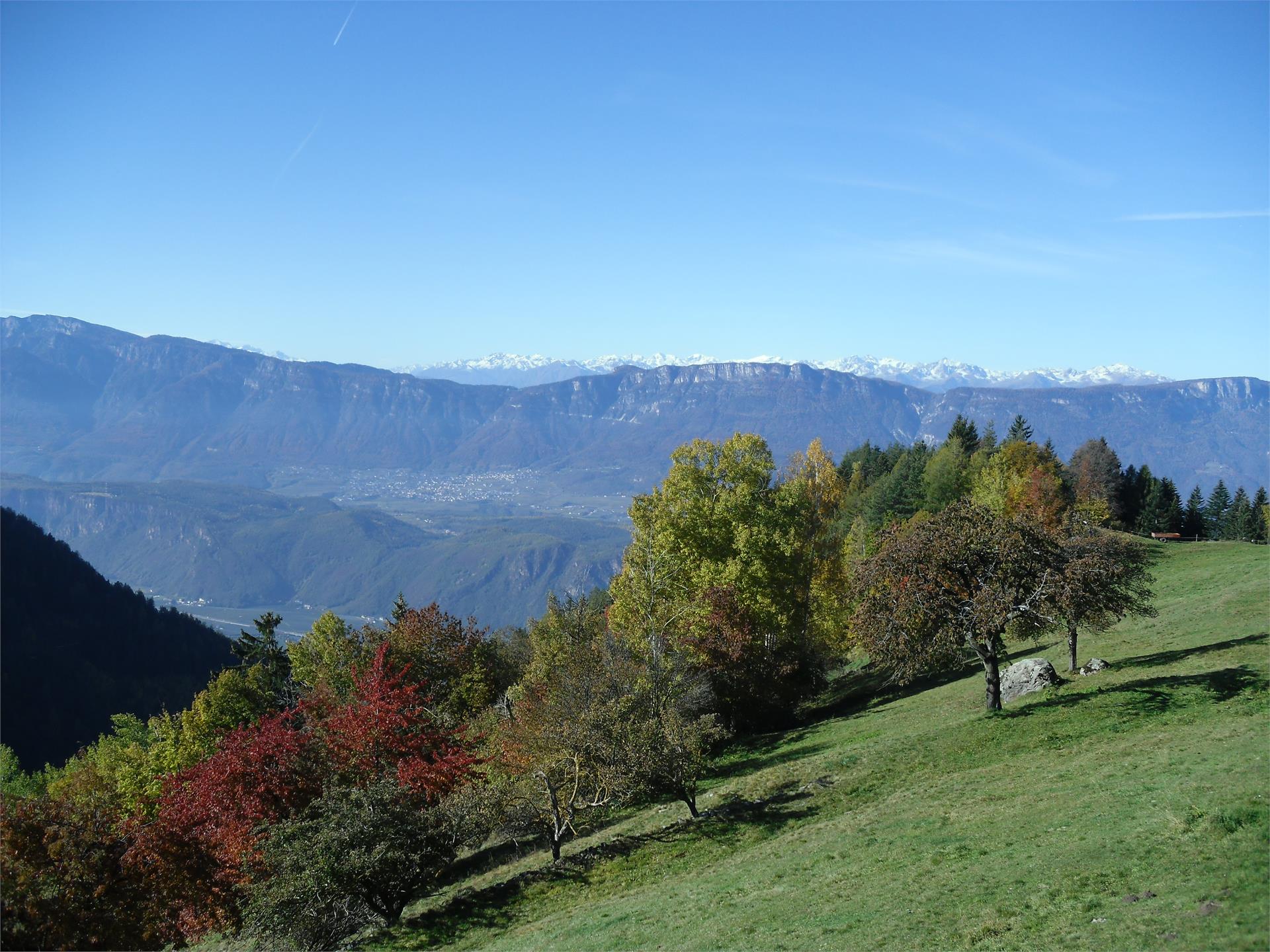 U.a.B. Spörlhof Deutschnofen 15 suedtirol.info