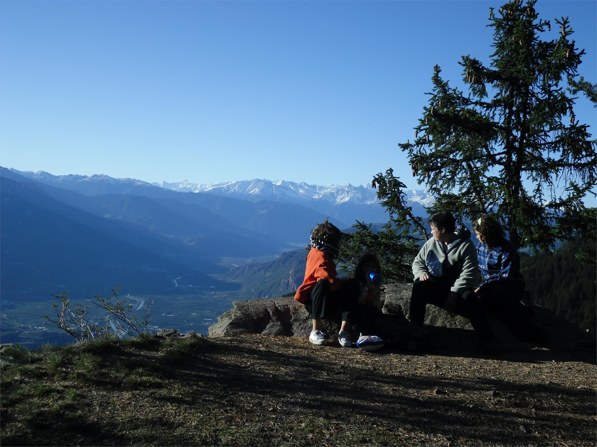 U.a.B. Spörlhof Deutschnofen 14 suedtirol.info