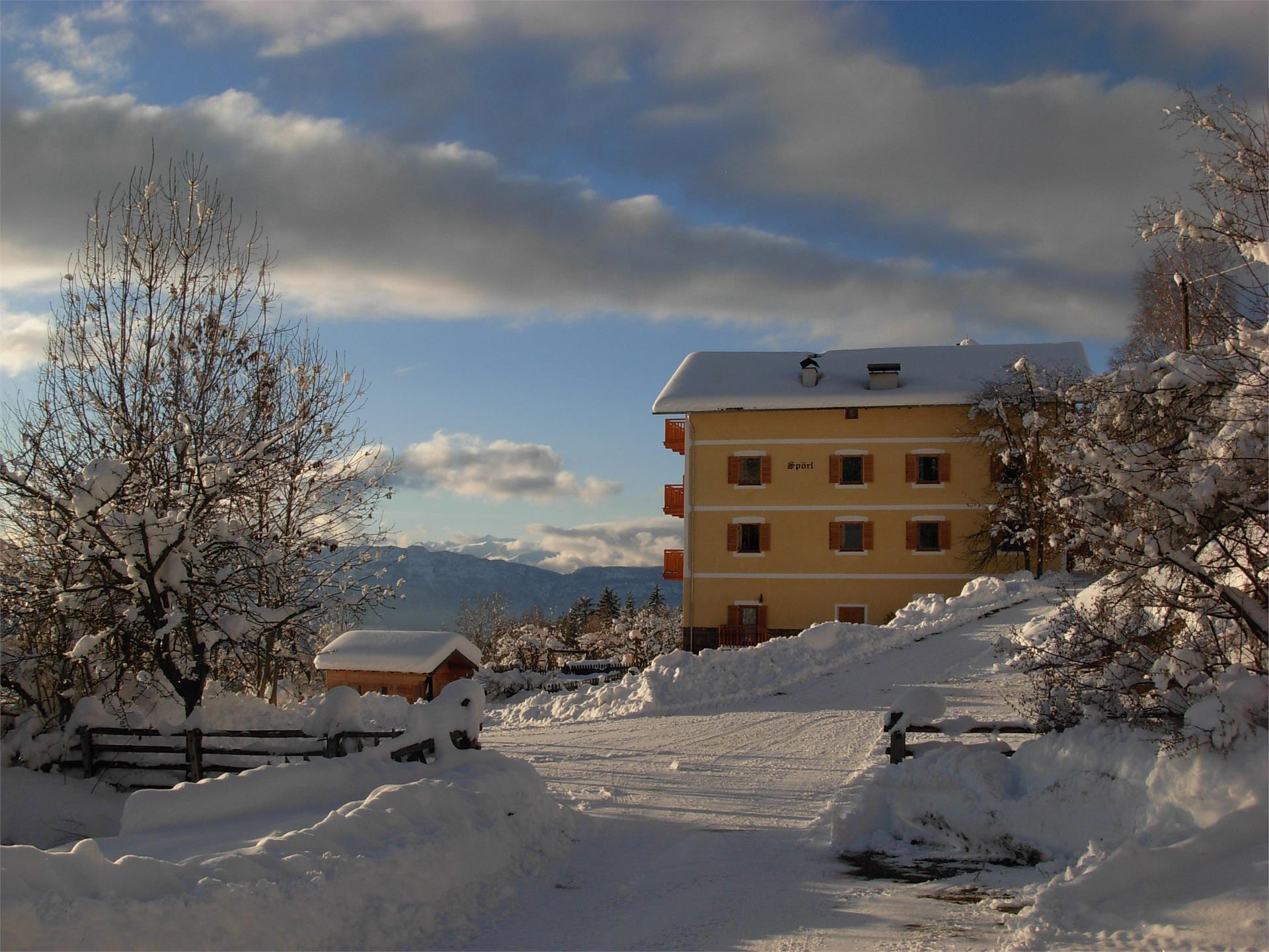 U.a.B. Spörlhof Deutschnofen 4 suedtirol.info