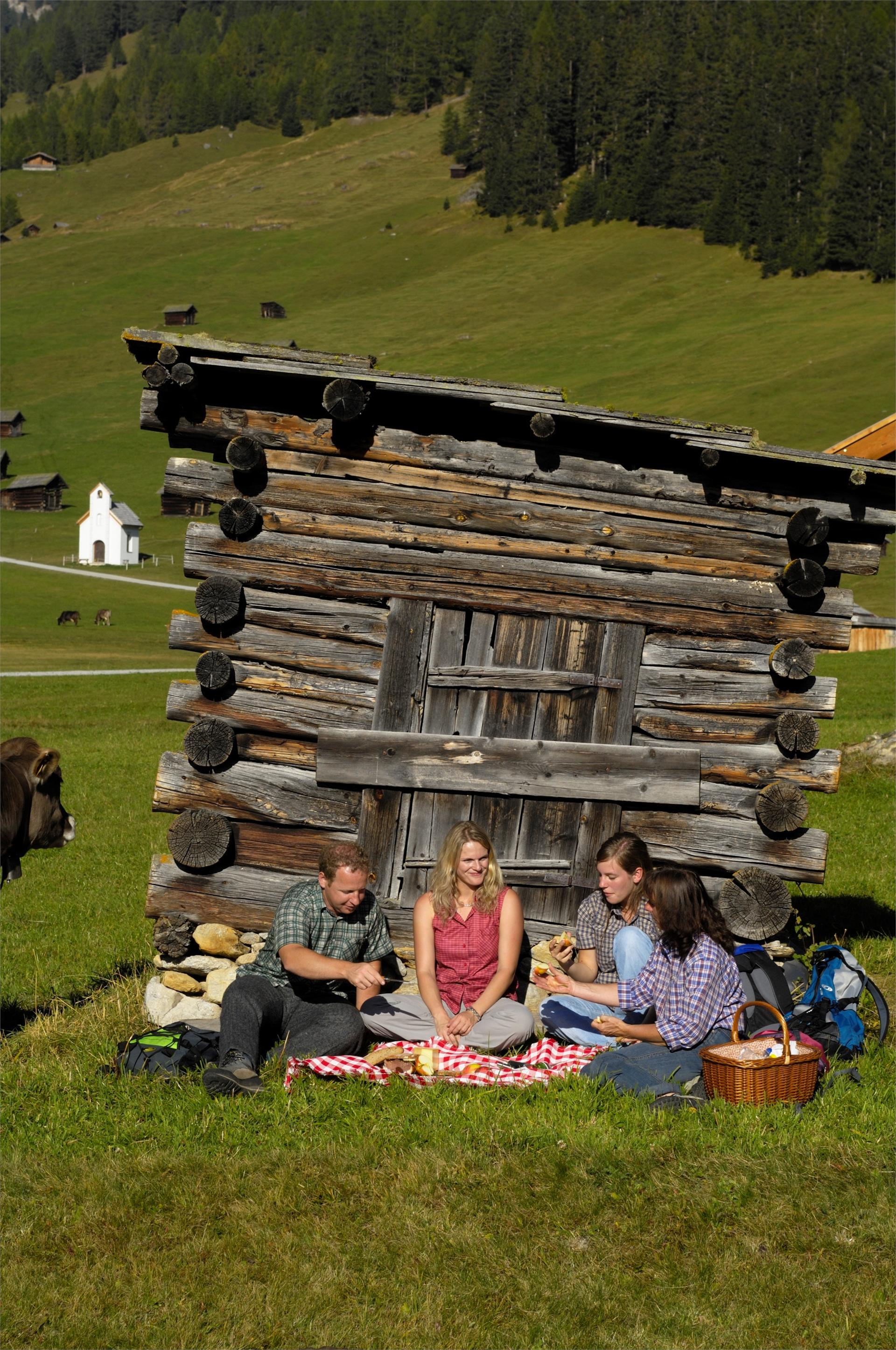 Agritourism Naglerhof Graun im Vinschgau/Curon Venosta 12 suedtirol.info