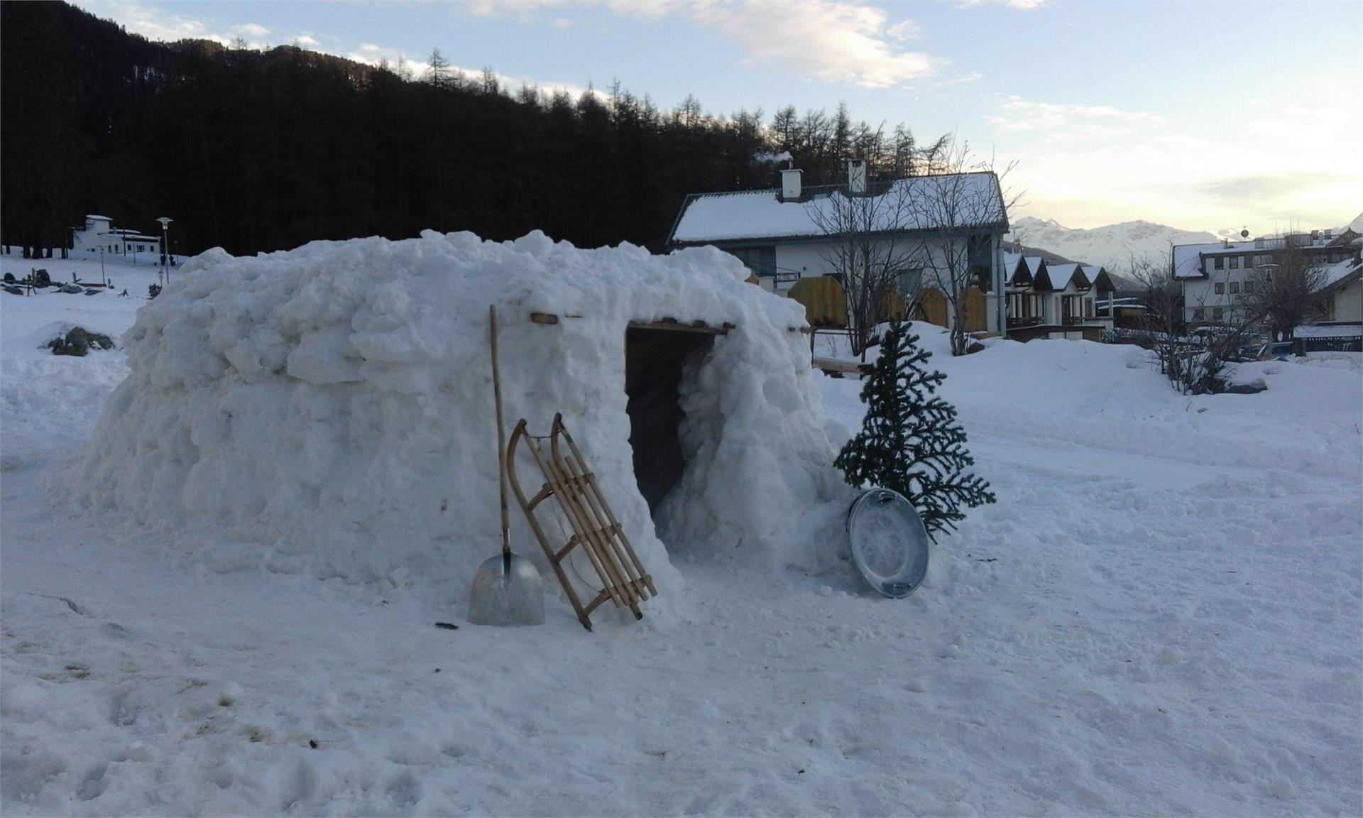 UAB Habicherhof Graun im Vinschgau 4 suedtirol.info