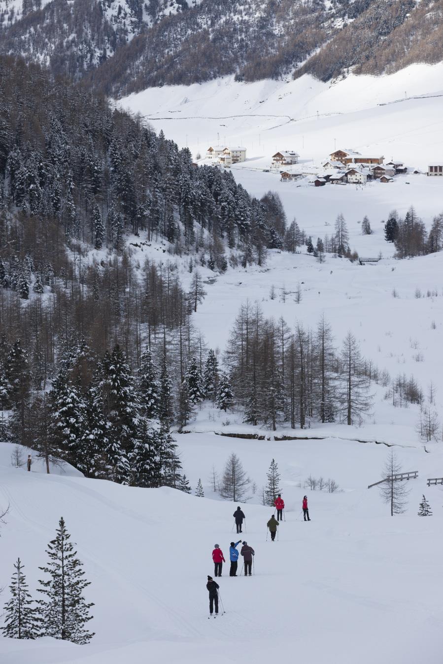 UAB Zerkaserhof Graun im Vinschgau 3 suedtirol.info