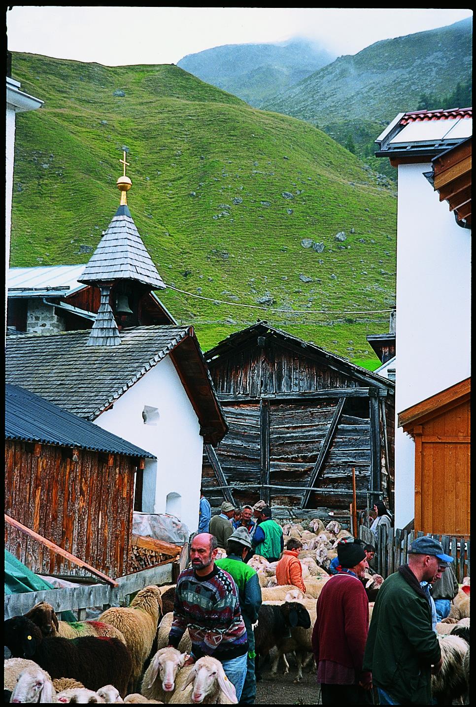 UAB Zerkaserhof Graun im Vinschgau 4 suedtirol.info