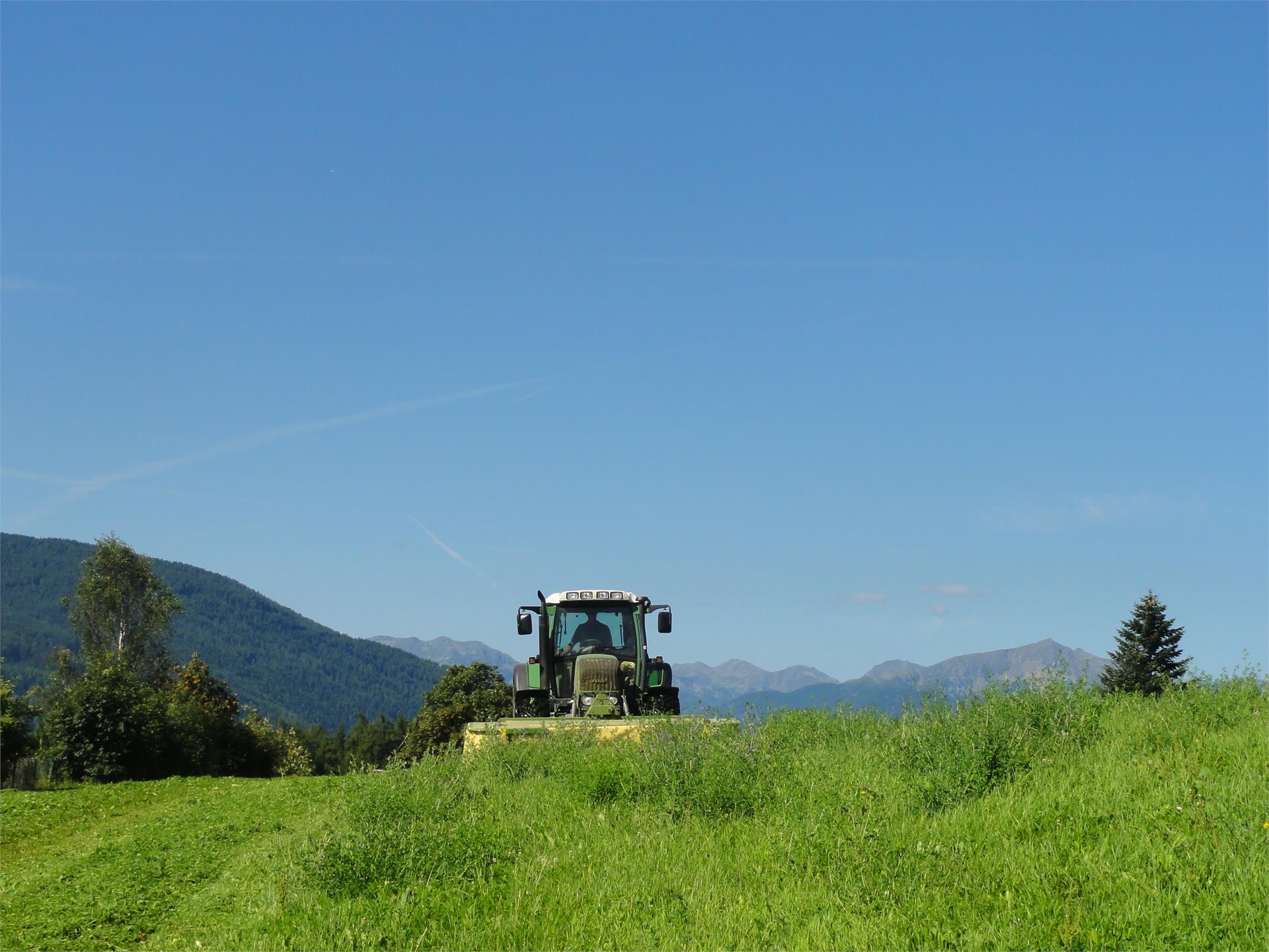 Apart. Mair am Graben Terenten/Terento 20 suedtirol.info