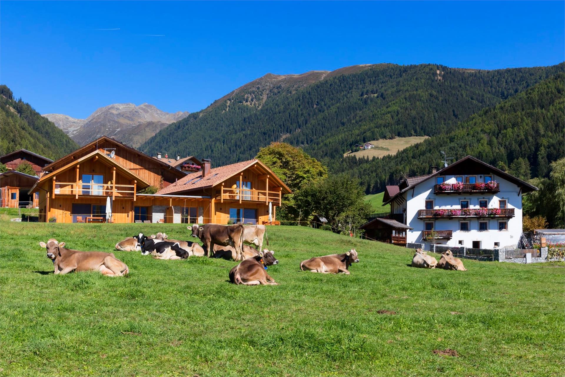 Apart. Mair am Graben Terenten/Terento 2 suedtirol.info