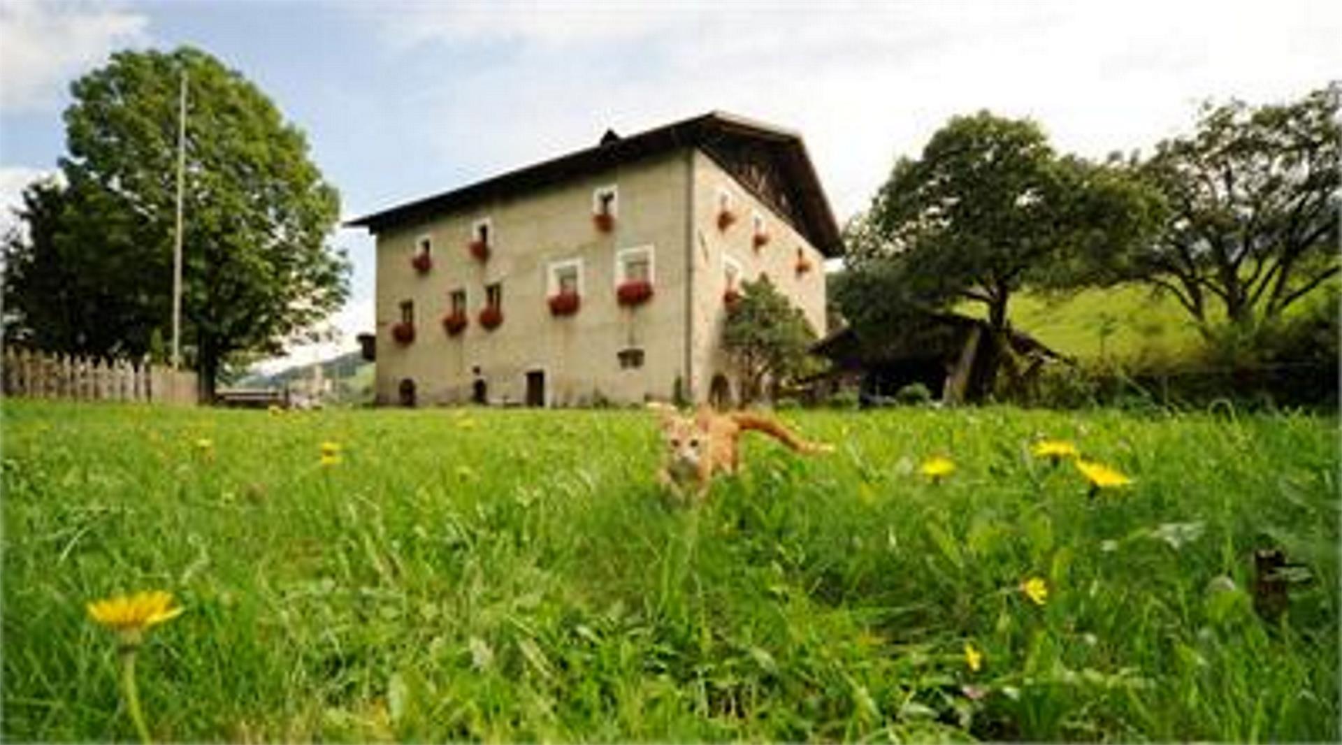 Farm Holiday Moserhof Sarntal/Sarentino 14 suedtirol.info