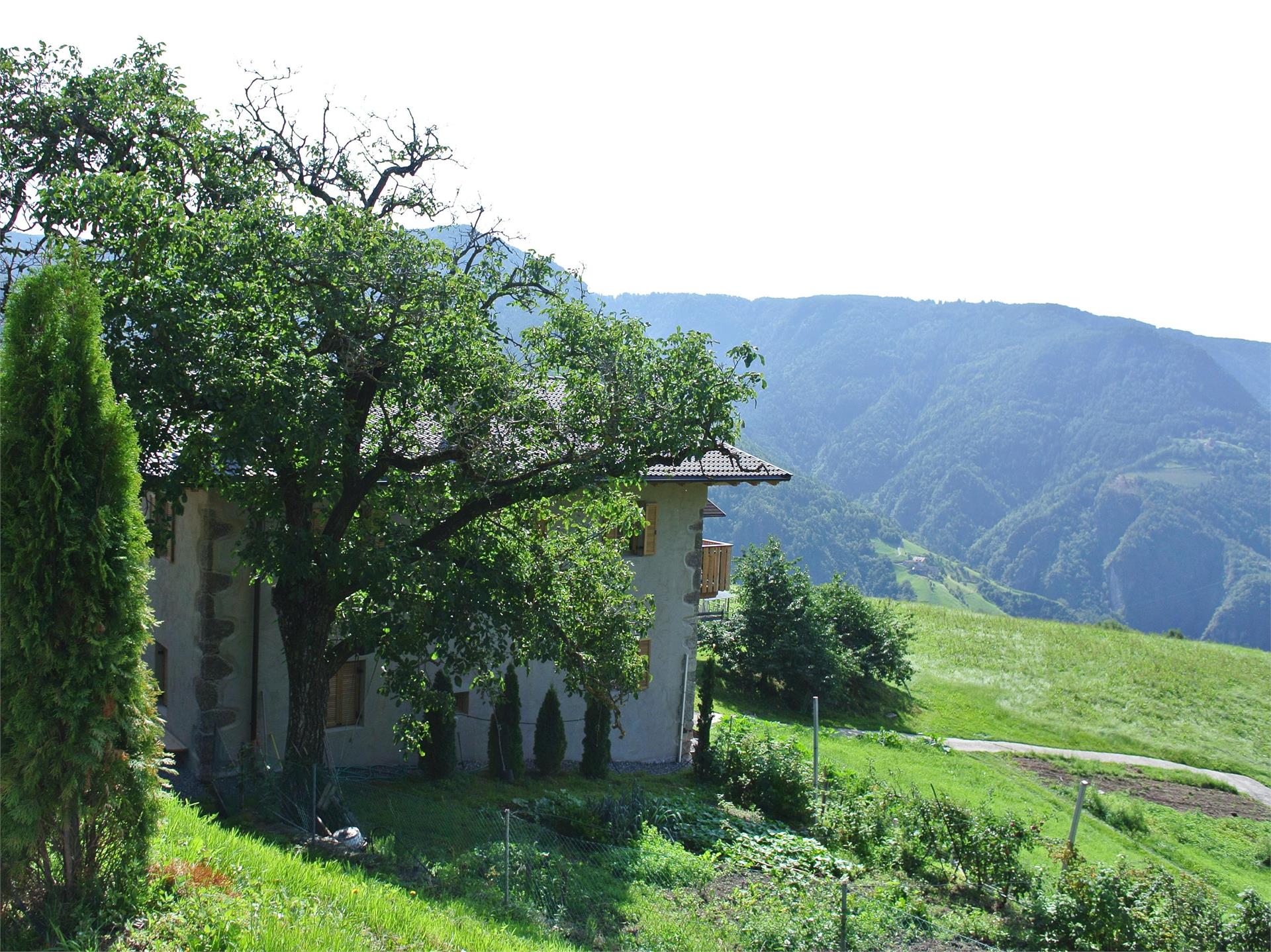 Unterkoflerhof San Genesio Atesino 1 suedtirol.info