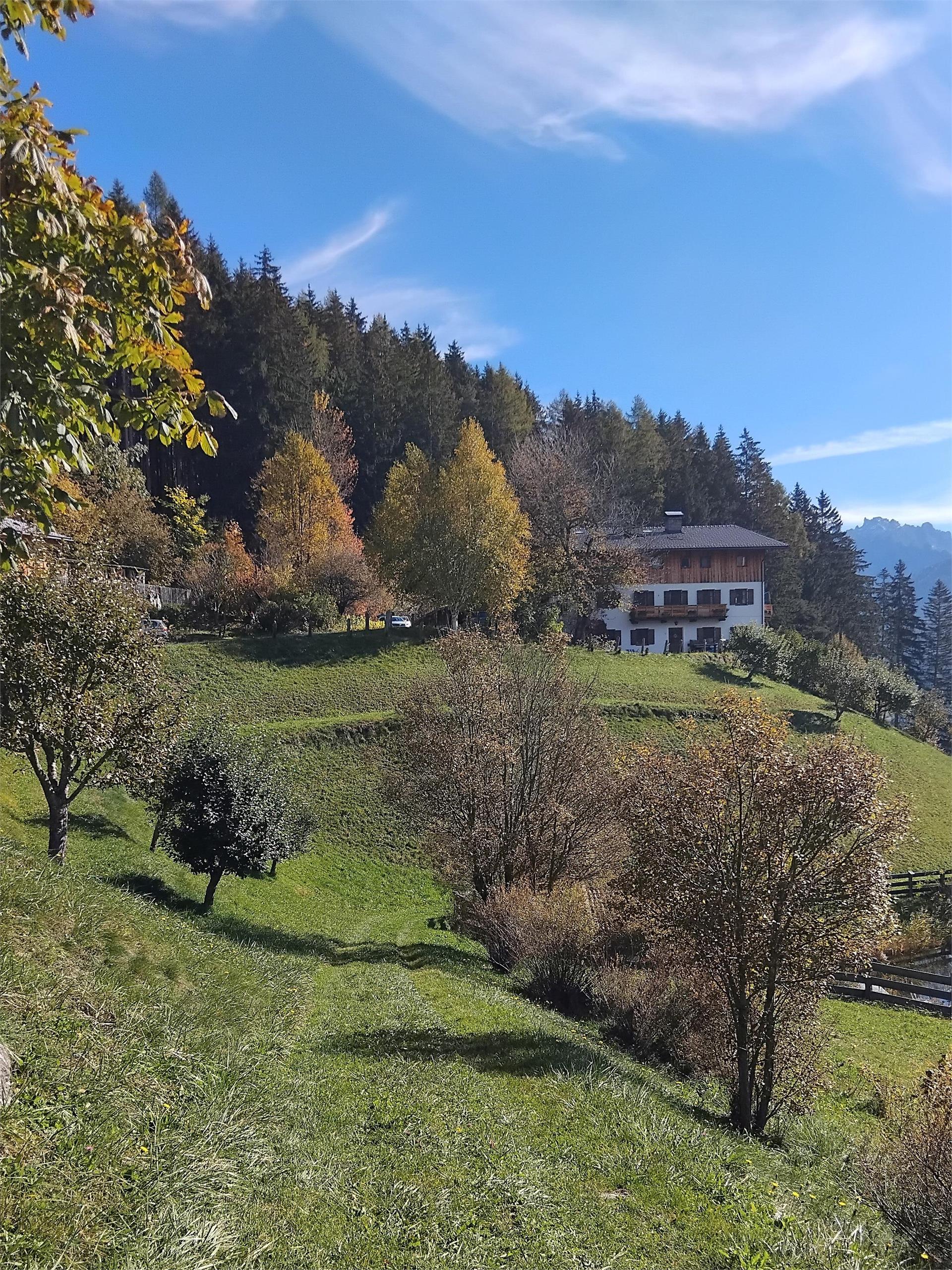 "Unterstein" Villabassa 2 suedtirol.info