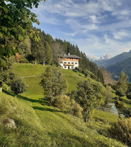 Unterstein Niederdorf 10 suedtirol.info