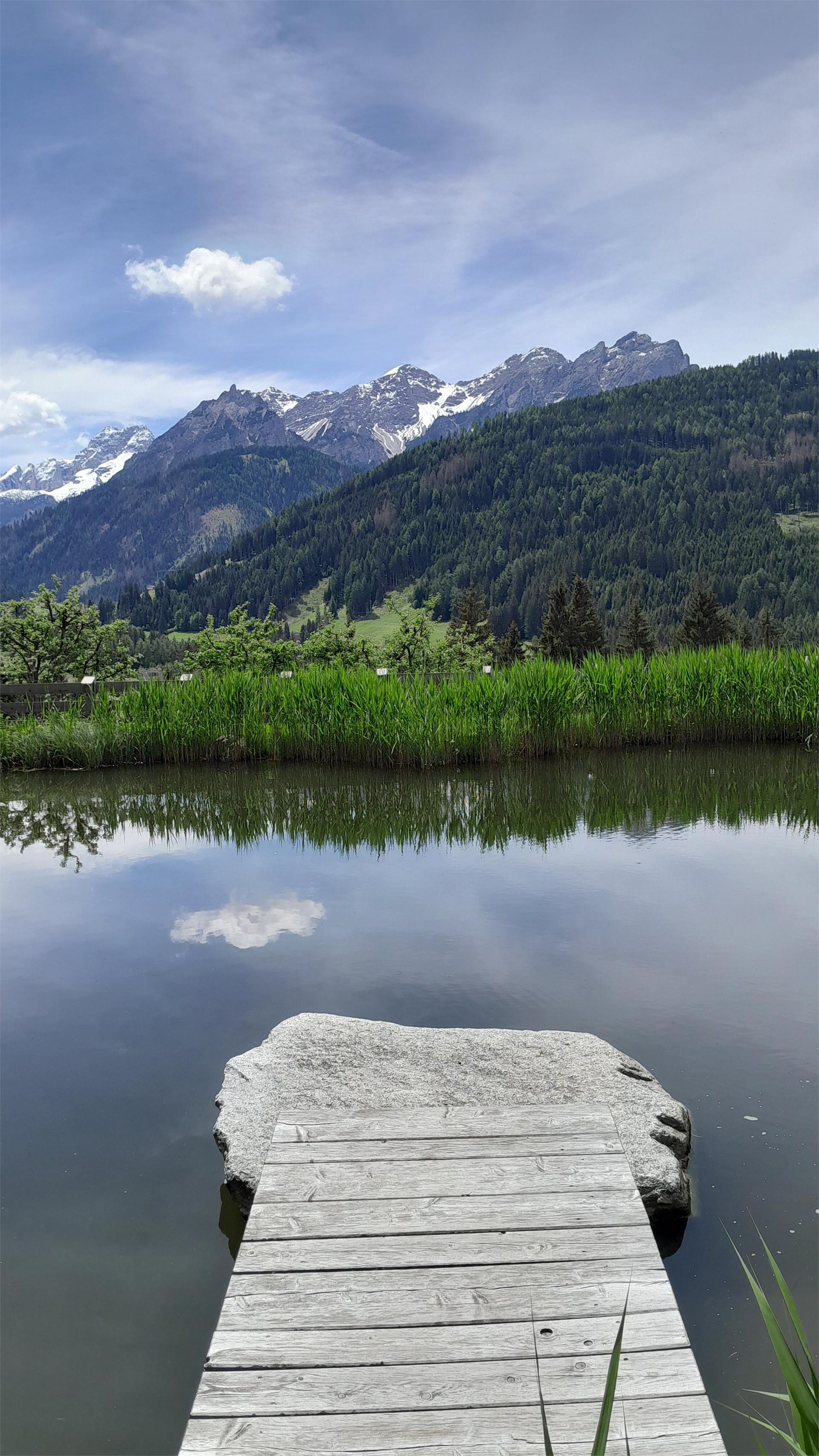 "Unterstein" Villabassa 21 suedtirol.info