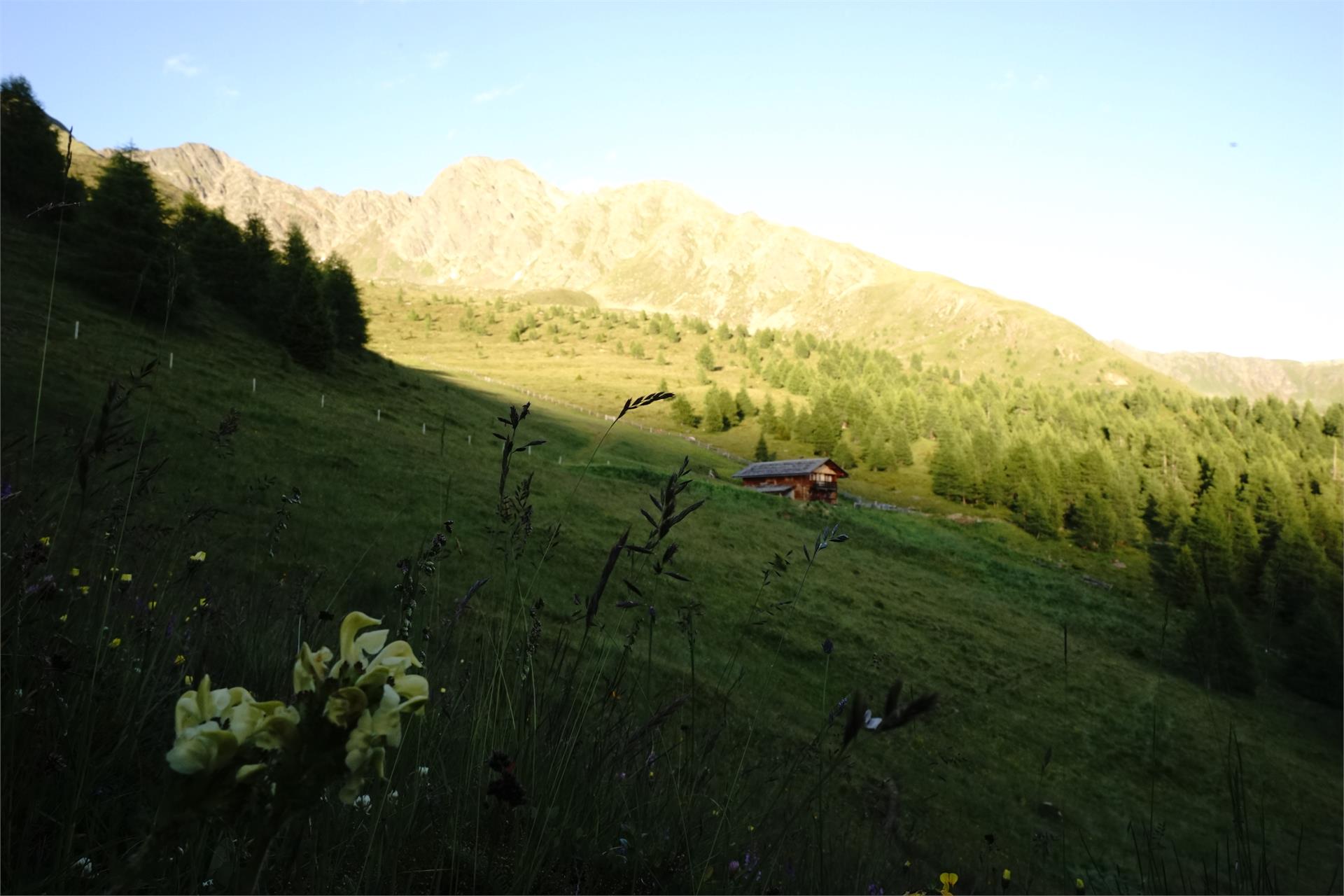 Unterhabererhof Gsies/Valle di Casies 23 suedtirol.info