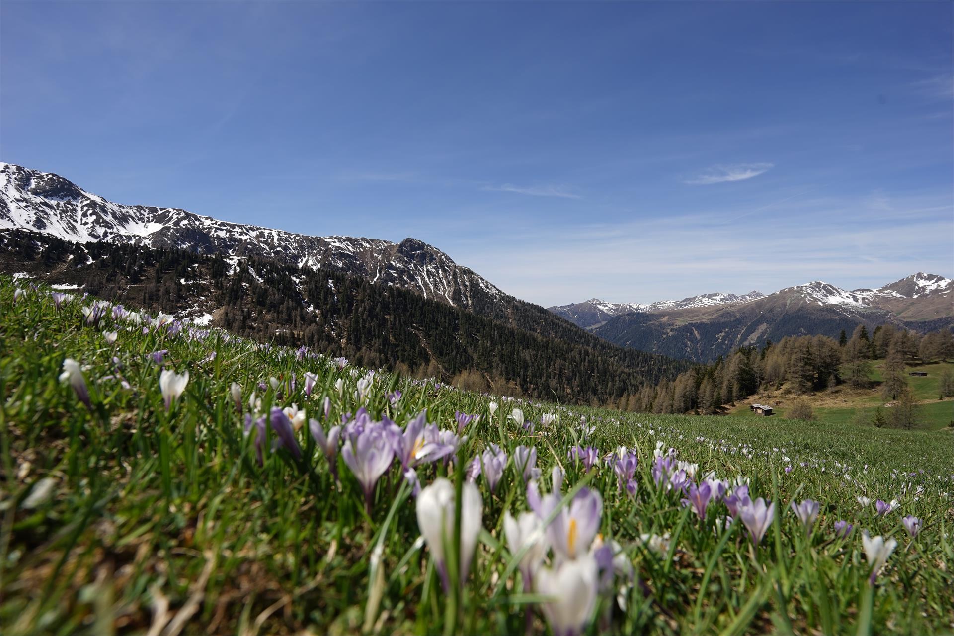 Unterhabererhof Gsies/Valle di Casies 20 suedtirol.info