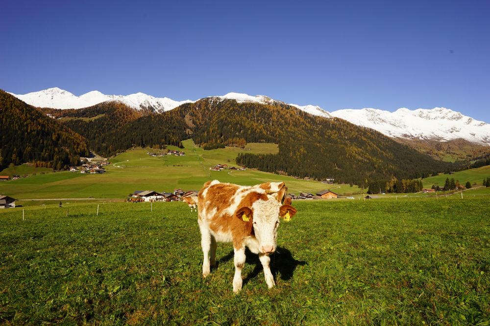 Unterhabererhof Gsies/Valle di Casies 28 suedtirol.info