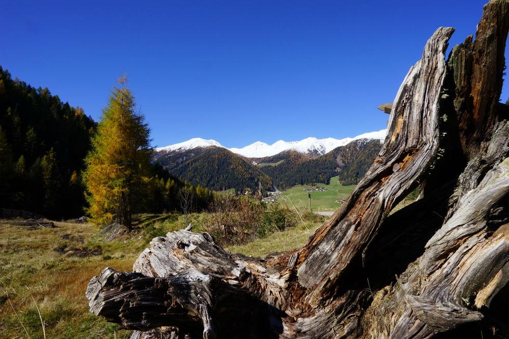 Unterhabererhof Gsies/Valle di Casies 25 suedtirol.info