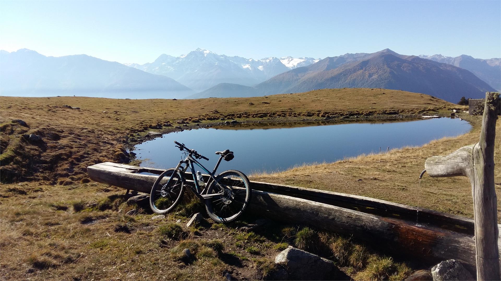 Urlaub auf dem Bauernhof Zwick Mals/Malles 26 suedtirol.info