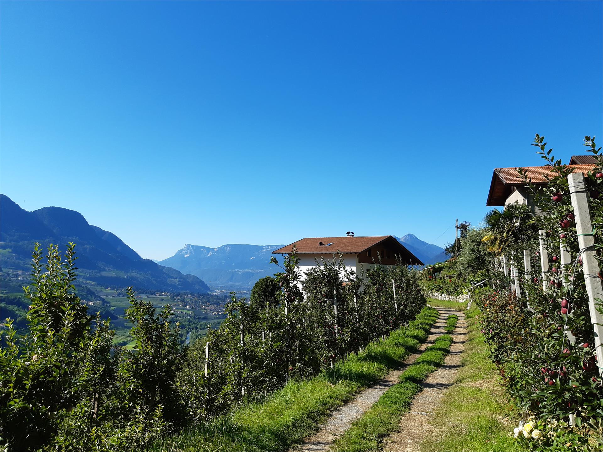 Panoramawohnung Annaheim Riffian 30 suedtirol.info