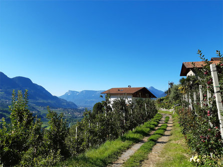 Holiday on a farm Annaheim Riffian/Rifiano 30 suedtirol.info