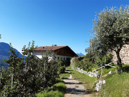 Holiday on a farm Annaheim Riffian/Rifiano 20 suedtirol.info