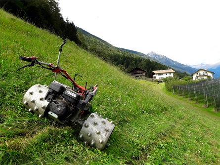 Holiday on a farm Ebnerhof Riffian/Rifiano 16 suedtirol.info