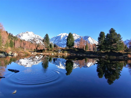 Unterangerhof Pfitsch 11 suedtirol.info