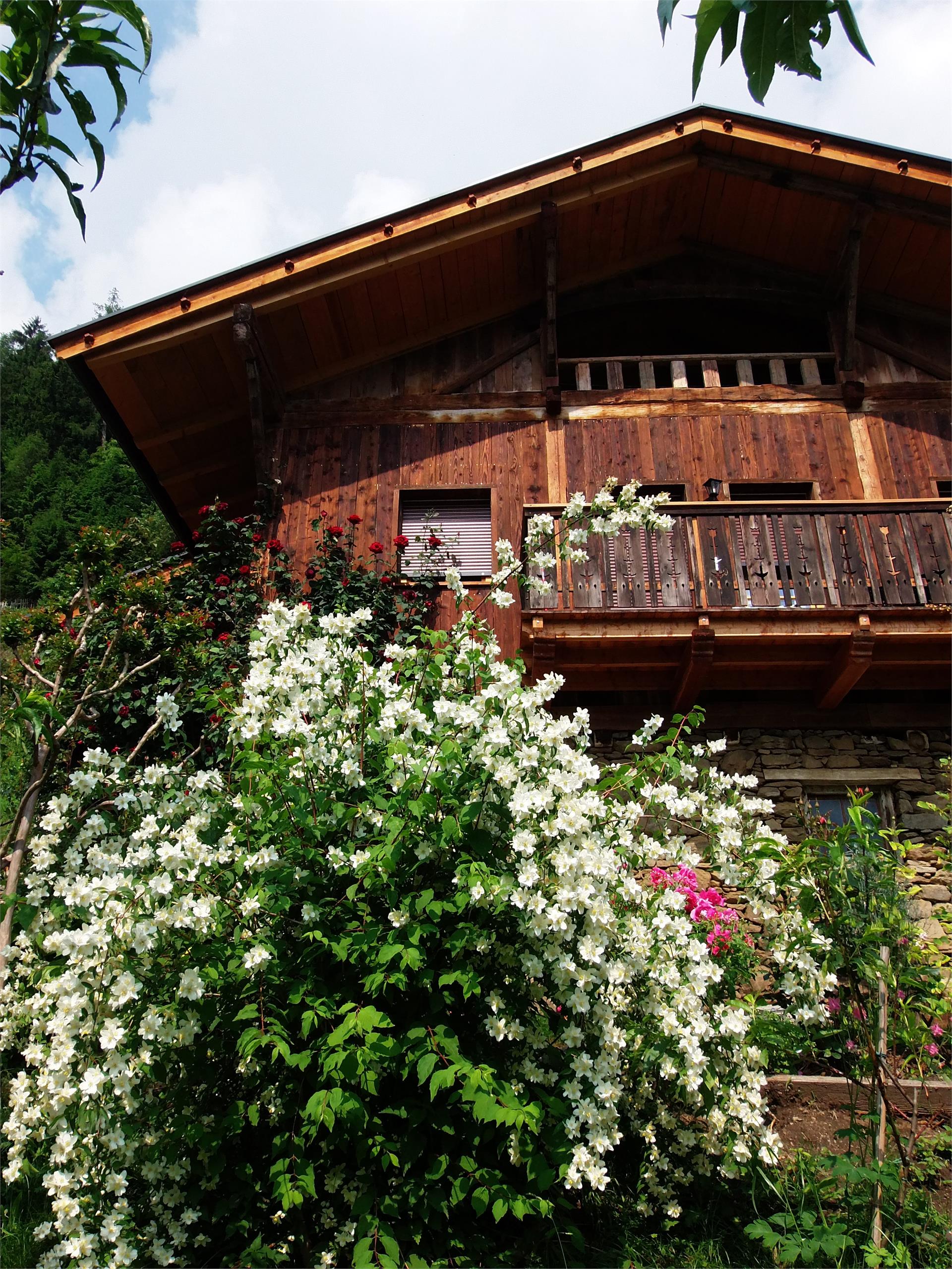 Urlaub auf dem Bauernhof Innerhochegg-Hof Riffian 10 suedtirol.info