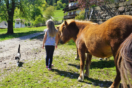 Vöstlhof Welschnofen/Nova Levante 19 suedtirol.info