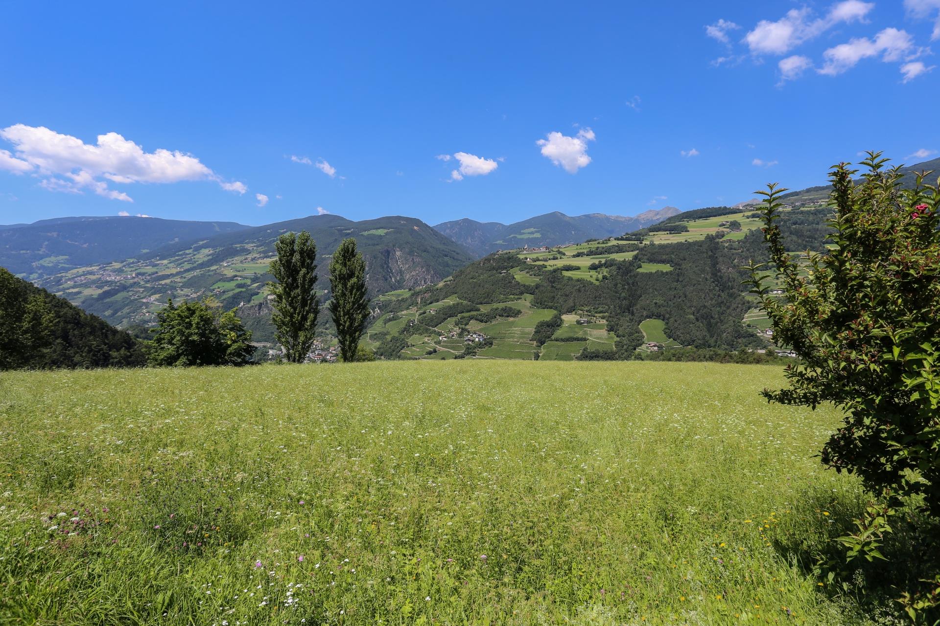 Villa Schönblick Klausen/Chiusa 7 suedtirol.info