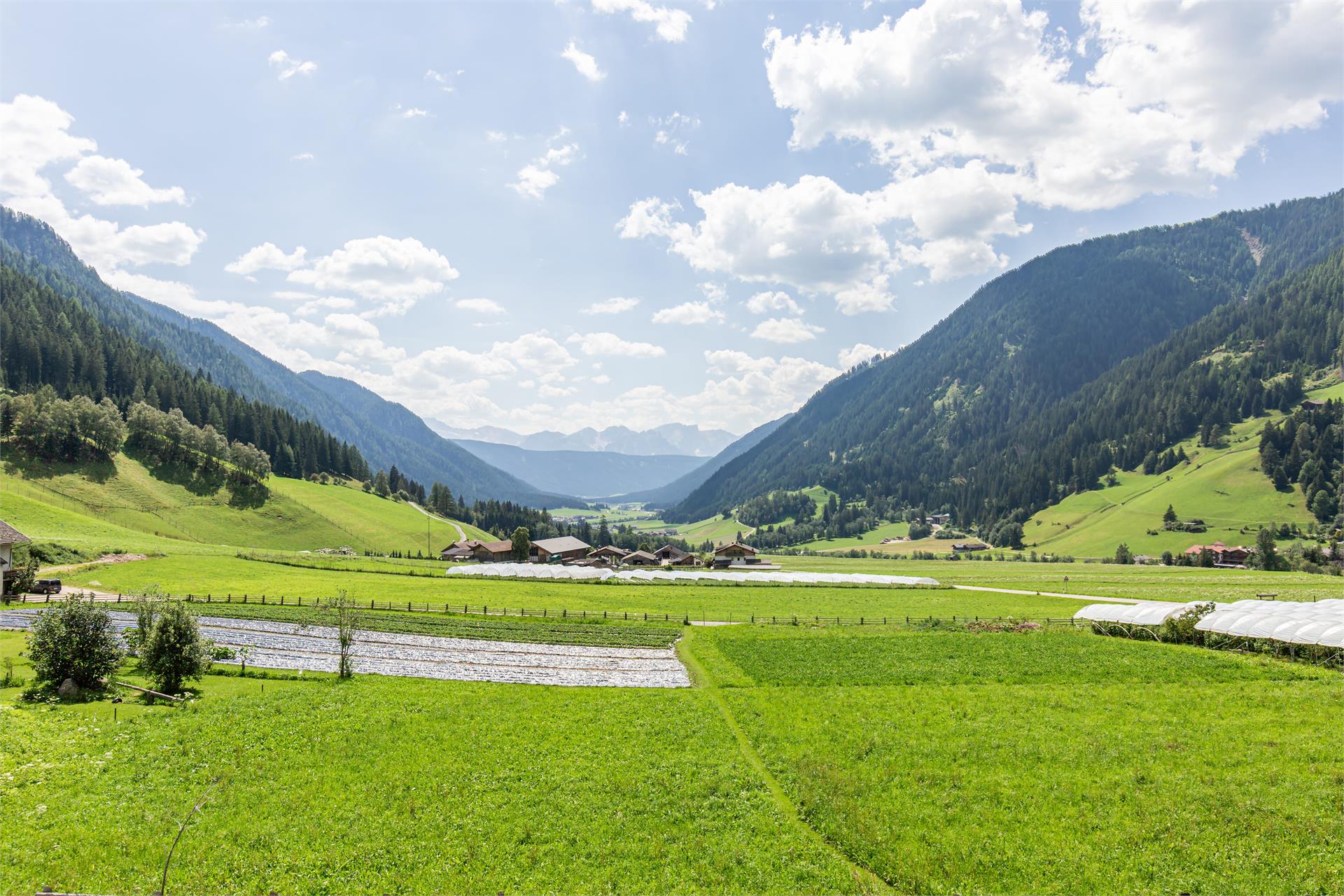 Vöstlerhof Valle di Casies 24 suedtirol.info