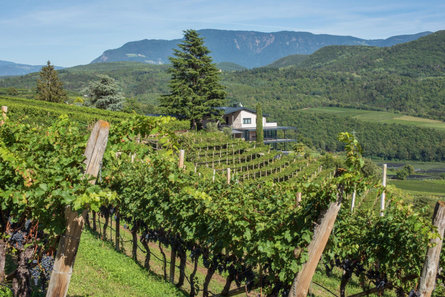 Villa Barleit Kaltern an der Weinstraße 1 suedtirol.info