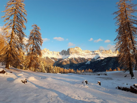 Villa Andrè Tiers am Rosengarten 17 suedtirol.info