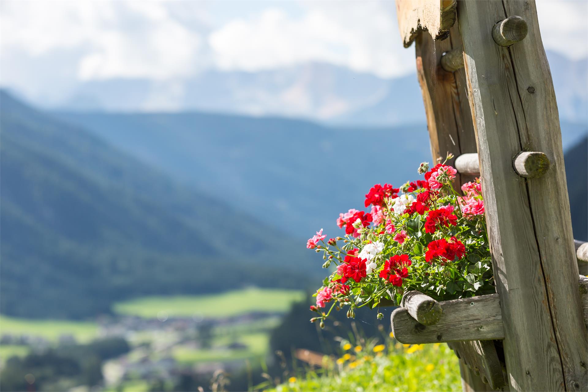 Vorderstammerhof Gsies/Valle di Casies 6 suedtirol.info