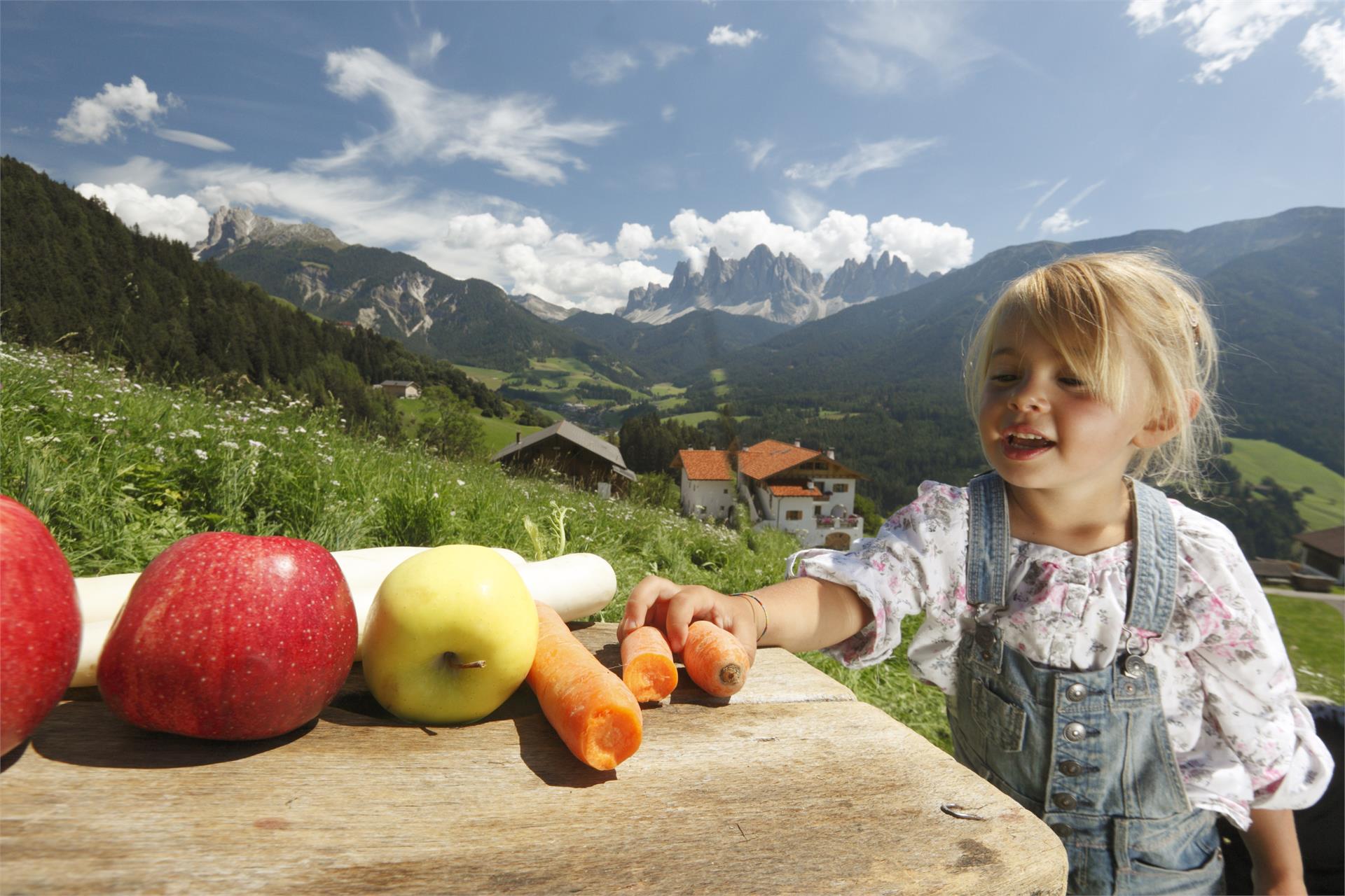 Vikolerhof Villnöss/Funes 9 suedtirol.info