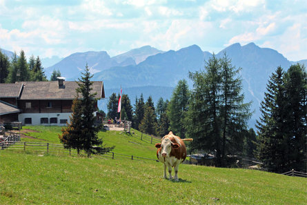 Wiesenhof Welsberg-Taisten 17 suedtirol.info