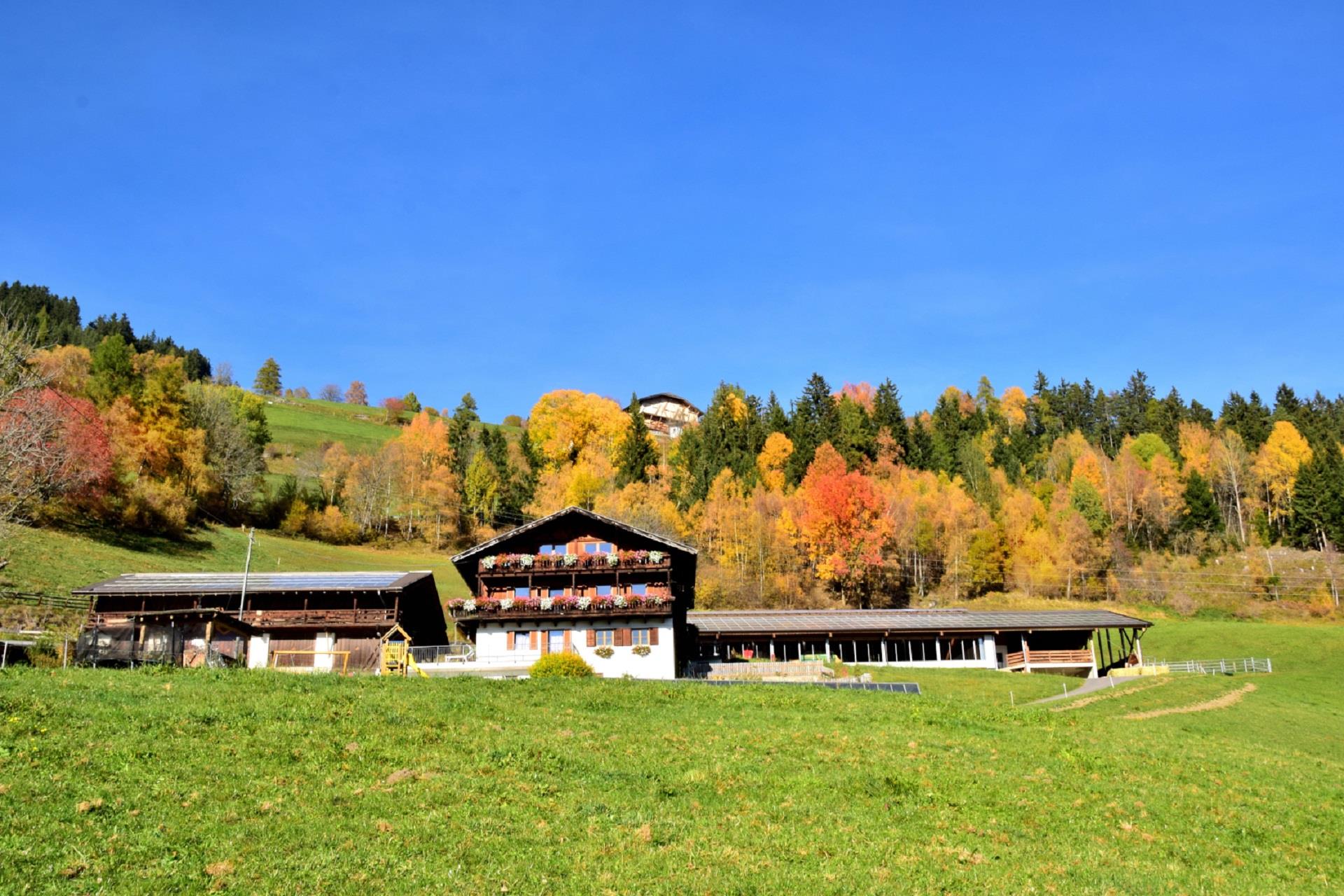 Wegscheiderhof Brixen 2 suedtirol.info