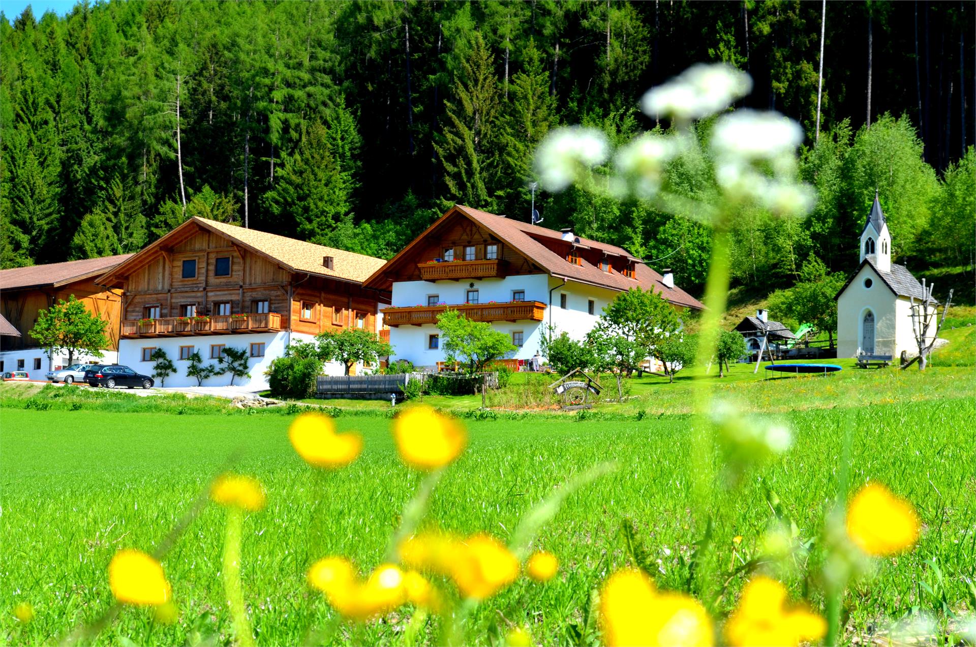 Weliserhof St.Lorenzen 4 suedtirol.info