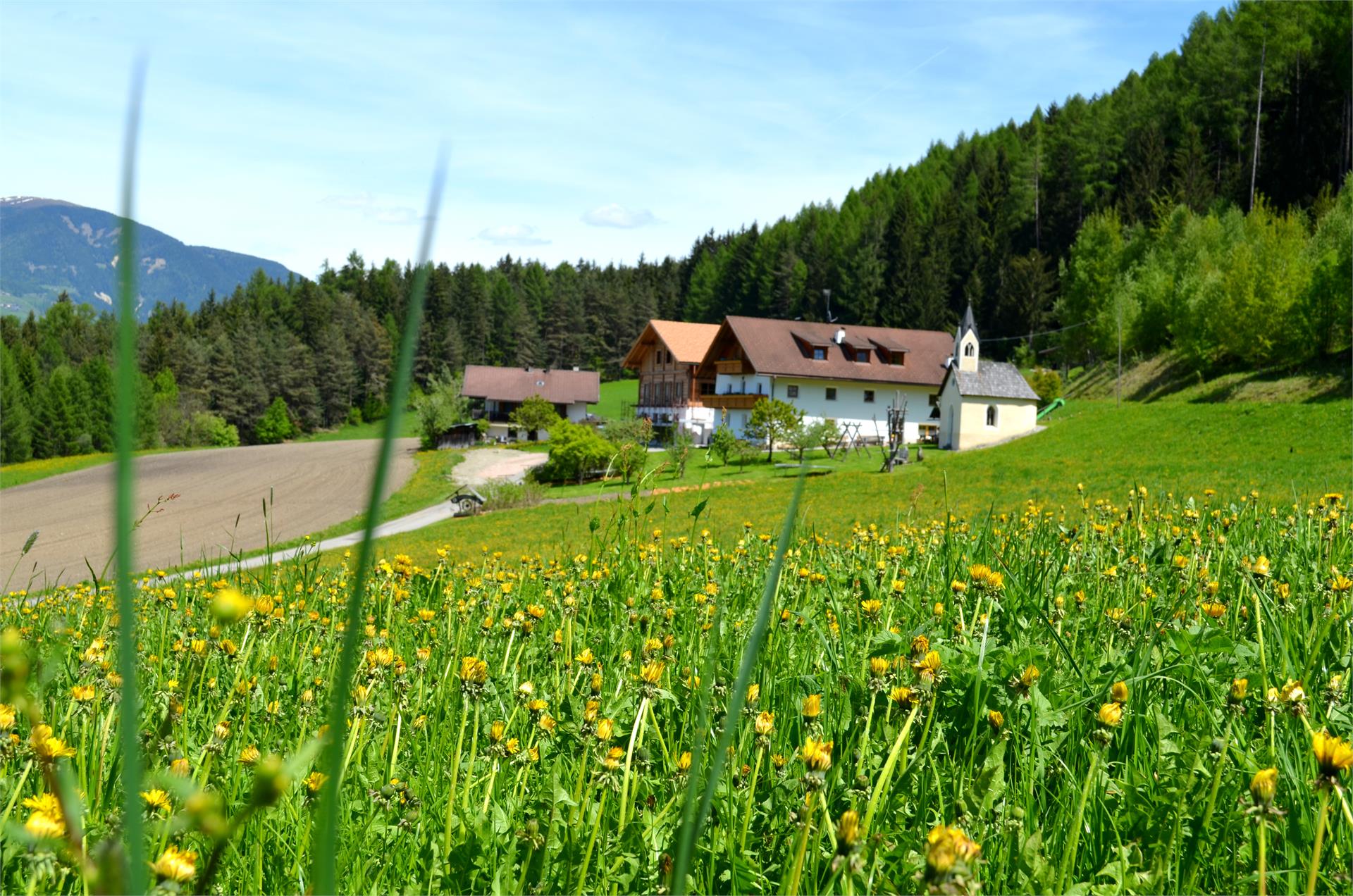 Weliserhof St.Lorenzen 3 suedtirol.info