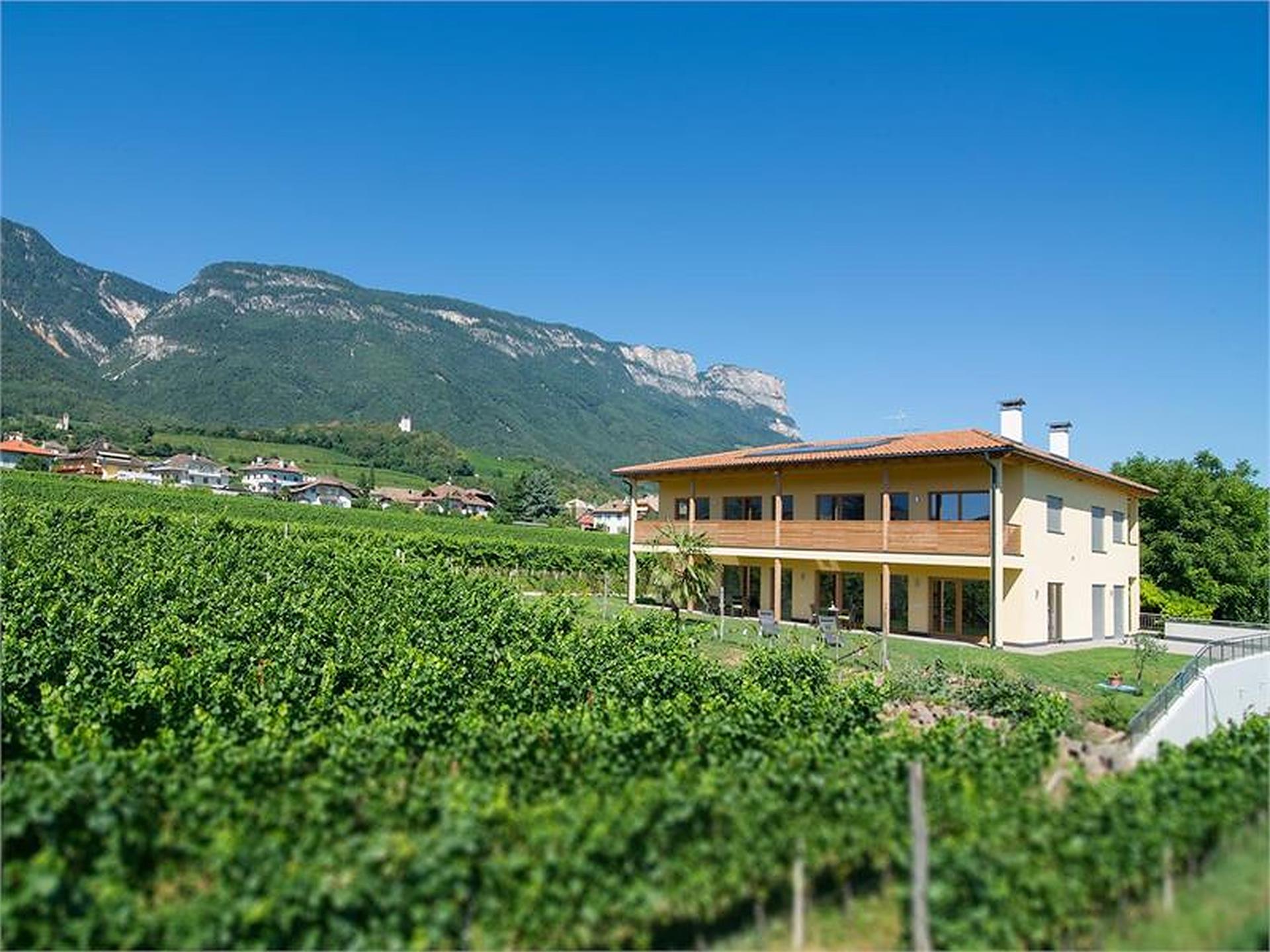 Wolfganghof Eppan an der Weinstaße/Appiano sulla Strada del Vino 1 suedtirol.info