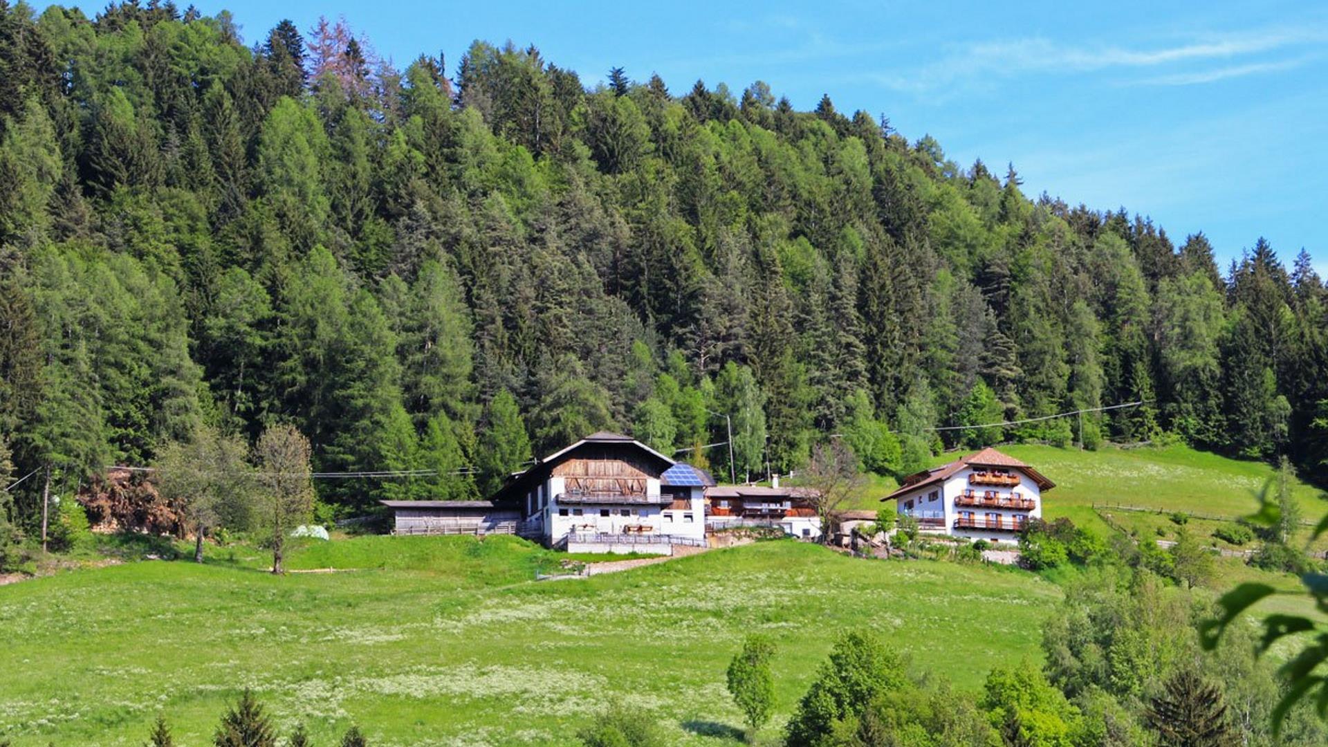 Waldnerhof Ritten 1 suedtirol.info