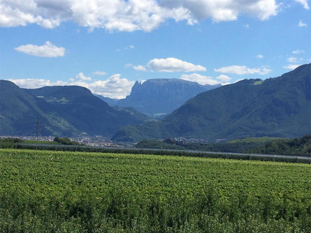 Weger B&B Eppan an der Weinstaße/Appiano sulla Strada del Vino 7 suedtirol.info